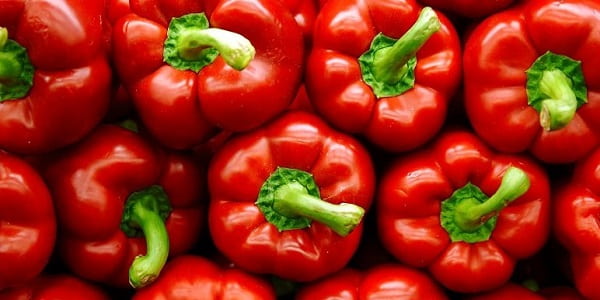 تصویر 1 از خرید و قیمت فلفل دلمه ای قرمز رنگ + فروش عمده
