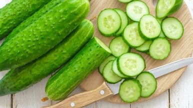 تصویر 4 از قیمت خرید خیار سبز خاردار + فروش ویژه