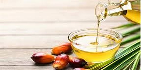 تصویر 5 از قیمت روغن هسته خرما + خرید باور نکردنی