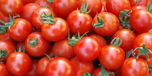 تصویر 1 از خرید و قیمت گوجه فرنگی ریز گیلاسی + فروش صادراتی