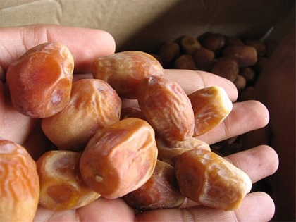 تصویر 5 از قیمت خرید خرما زاهدی اعلا با فروش عمده