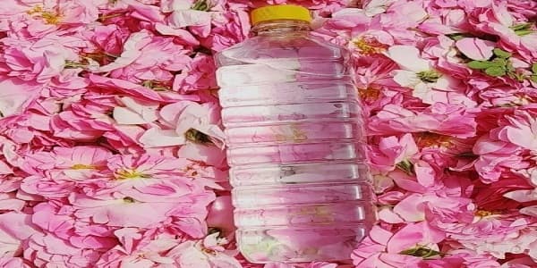 تصویر 1 از گلاب دو اتیشه طوبی عصاره ناب گلستان آیینی
