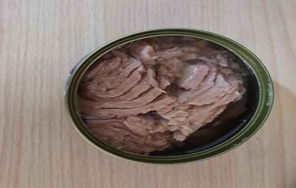 تصویر 3 از فروش تن ماهی شیلتون عمده + قیمت خرید به صرفه