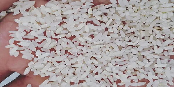 تصویر 4 از خرید برنج چمپا ممتاز + قیمت فروش استثنایی