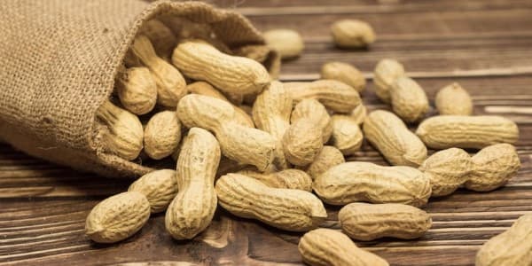 تصویر 3 از خرید بادام زمینی پوست کاغذی + قیمت فروش استثنایی