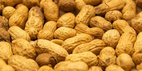 تصویر 5 از خرید بادام زمینی پوست کاغذی + قیمت فروش استثنایی