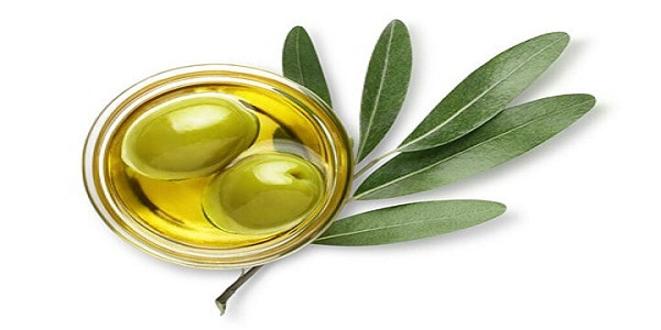 تصویر 5 از قیمت خرید روغن بکر زیتون با فروش عمده