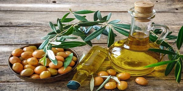 تصویر 1 از قیمت خرید روغن بکر زیتون با فروش عمده
