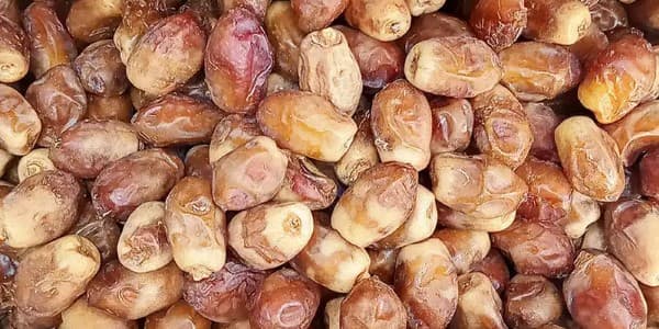تصویر 5 از قیمت خرما زاهدی درجه یک + خرید باور نکردنی