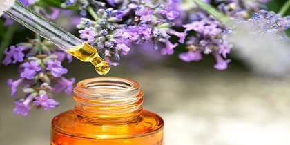 تصویر 3 از فروش اسانس آویشن شیرازی + قیمت خرید به صرفه
