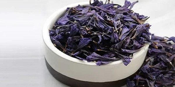 تصویر 4 از قیمت خرید گیاه دارویی گل گاوزبان عمده به صرفه و ارزان