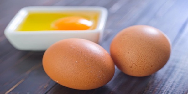 تصویر 5 از خرید و قیمت تخم مرغ محلی گلپایگانی + فروش عمده