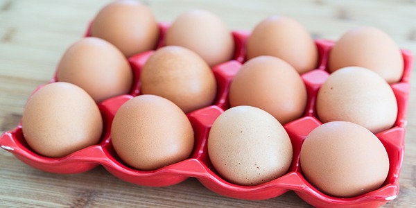 تصویر 3 از خرید و قیمت تخم مرغ محلی گلپایگانی + فروش عمده