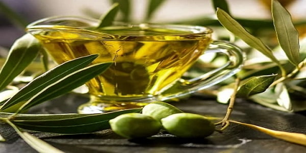 تصویر 2 از خرید و فروش روغن اصل زیتون با شرایط فوق العاده