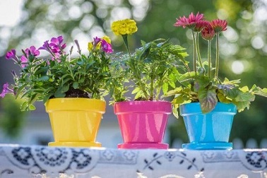 فروش گلدان پلاستیکی فانتزی + قیمت خرید به صرفه