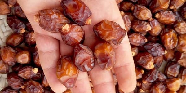 تصویر 1 از قیمت خرما خاصویی صادراتی + خرید باور نکردنی