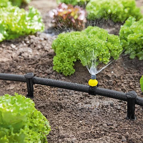 خرید شیلنگ آبیاری قطره ای + قیمت فروش استثنایی