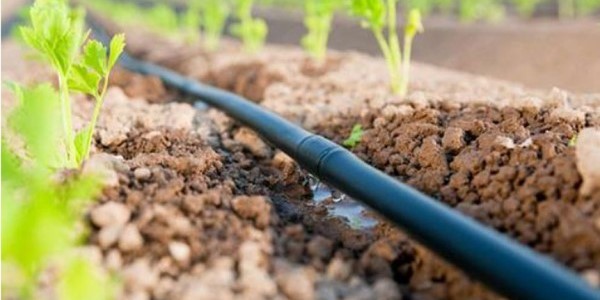 تصویر 5 از خرید شیلنگ آبیاری قطره ای + قیمت فروش استثنایی