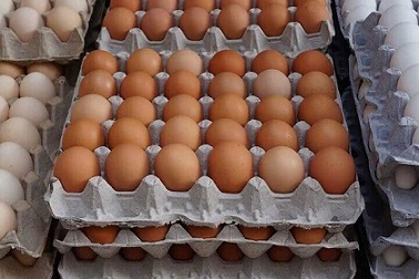 تصویر 1 از قیمت شانه تخم مرغ مقوایی غرب با کیفیت ارزان + خرید عمده