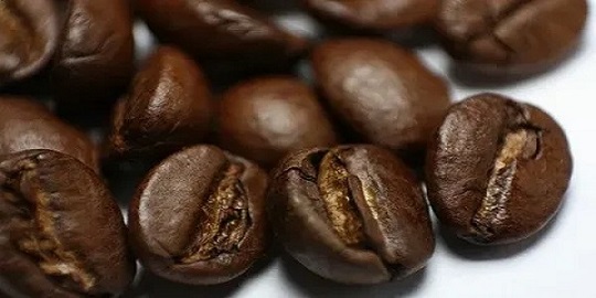 تصویر 5 از قیمت قهوه خرما کرمان ارزان با فروش عمده