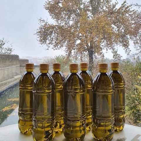 تصویر 4 از خرید روغن زیتون محلی + قیمت فروش استثنایی