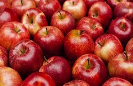 تصویر 1 از قیمت خرید سیب قرمز سمیرم + فروش ویژه