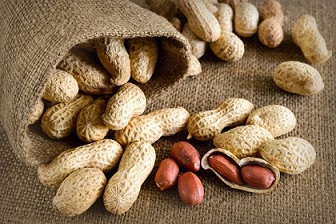 تصویر 2 از خرید و قیمت بادام زمینی خام با پوست + فروش صادراتی