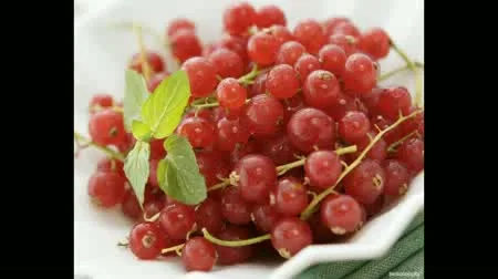 تصویر 5 از خرید و قیمت انگور قرمز بیدانه + فروش صادراتی