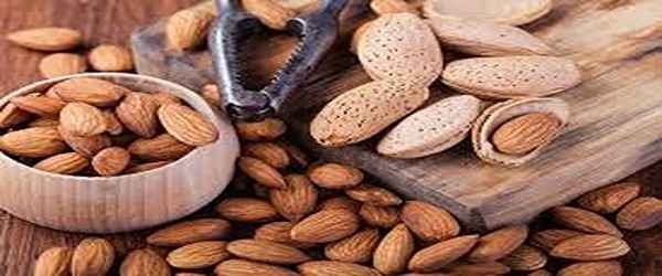 تصویر 4 از خرید و قیمت بادام درختی درجه یک + فروش عمده