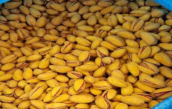 تصویر 5 از فروش پسته زعفرانی گلستان + قیمت خرید به صرفه