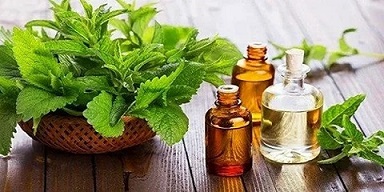 تصویر 1 از خرید روغن زیتون اصل + قیمت فروش استثنایی