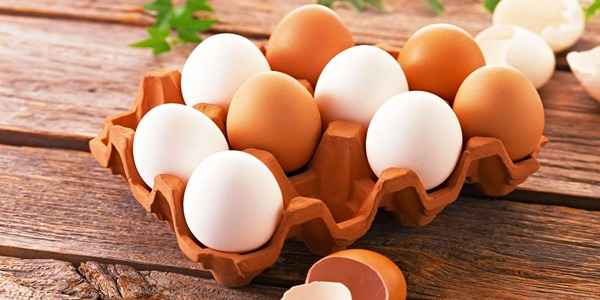 تصویر 5 از قیمت خرید تخم مرغ رسمی + فروش ویژه