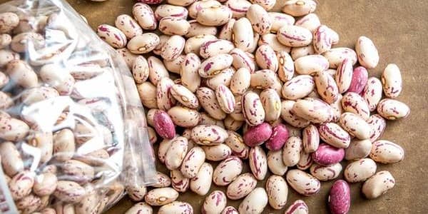 تصویر 3 از خرید و فروش لوبیا چیتی خمین اراک با شرایط فوق العاده