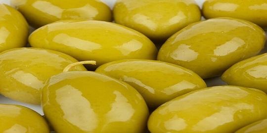 تصویر 1 از قیمت زیتون ممتاز اصالت با کیفیت ارزان + خرید عمده