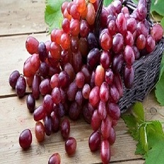 تصویر 4 از فروش انگور ژاپنی قرمز  + قیمت خرید به صرفه