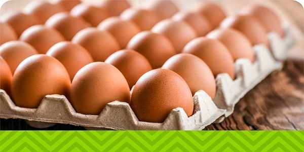 تصویر 2 از خرید تخم مرغ ارگانیک + قیمت فروش استثنایی