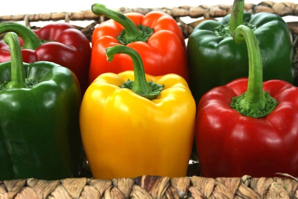 تصویر 3 از فروش فلفل دلمه ای رنگی کاشت + قیمت خرید به صرفه