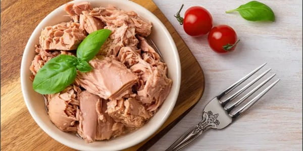 تصویر 4 از خرید و فروش تن ماهی مکنزی دودی با شرایط فوق العاده