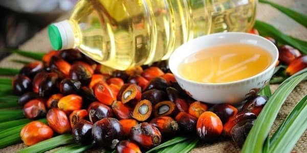 تصویر 2 از قیمت خرید روغن هسته خرما ارگانیک عمده به صرفه و ارزان