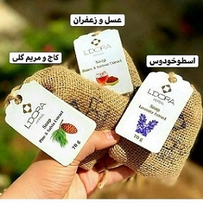 قیمت پن گیاهی لدورا + خرید باور نکردنی