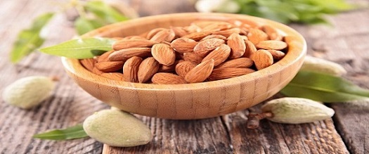 تصویر 5 از قیمت  بادام مامایی شهرکرد + عمده