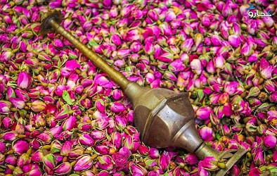 تصویر 2 از قیمت خرید غنچه گل محمدی کاشان  + فروش ویژه