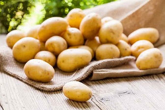 تصویر 4 از خرید و فروش سیب زمینی همدان تازه با شرایط فوق العاده