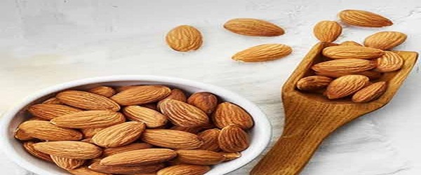 تصویر 4 از خرید بادام مامایی درجه یک + قیمت فروش استثنایی