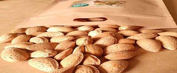 تصویر 1 از خرید بادام مامایی درجه یک + قیمت فروش استثنایی