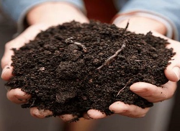 تصویر 3 از قیمت خرید کود ارگانیک جنگل + فروش ویژه