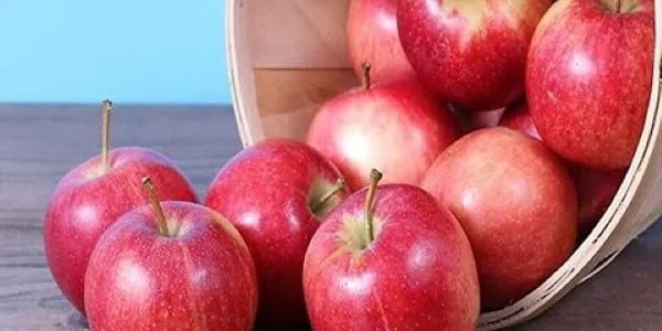 تصویر 5 از خرید سیب سرخ دماوند + قیمت فروش استثنایی
