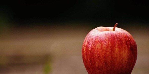 تصویر 3 از خرید سیب سرخ دماوند + قیمت فروش استثنایی