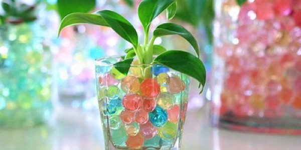 تصویر 1 از قیمت خرید خاک ژله ای کشاورزی + فروش ویژه