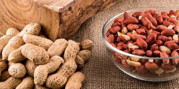 تصویر 5 از خرید و فروش بادام زمینی صادراتی با شرایط فوق العاده